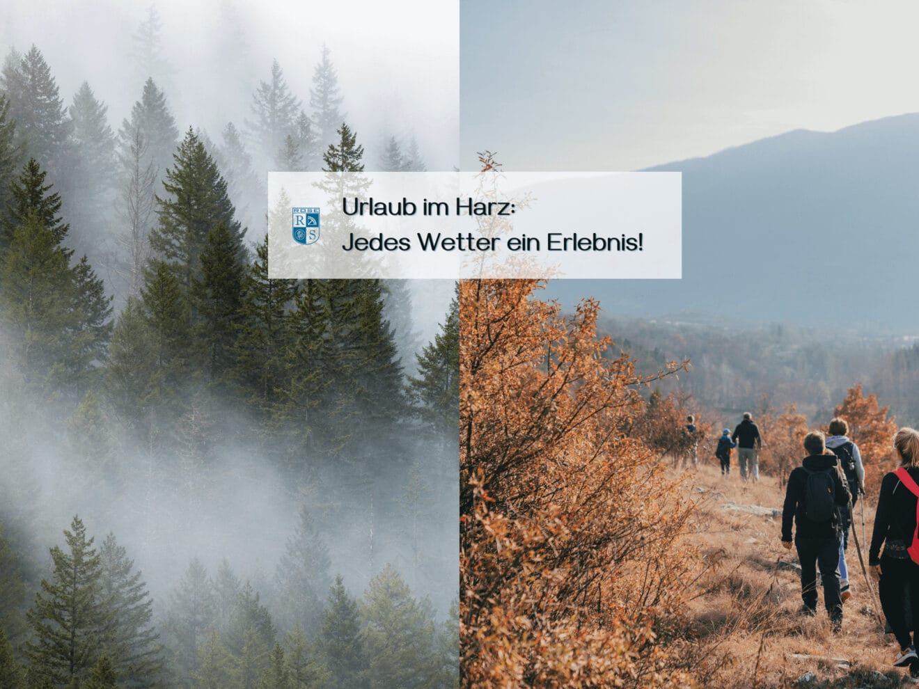 Wetter Bad Sachsa Vorhersage & Beste Reisezeit