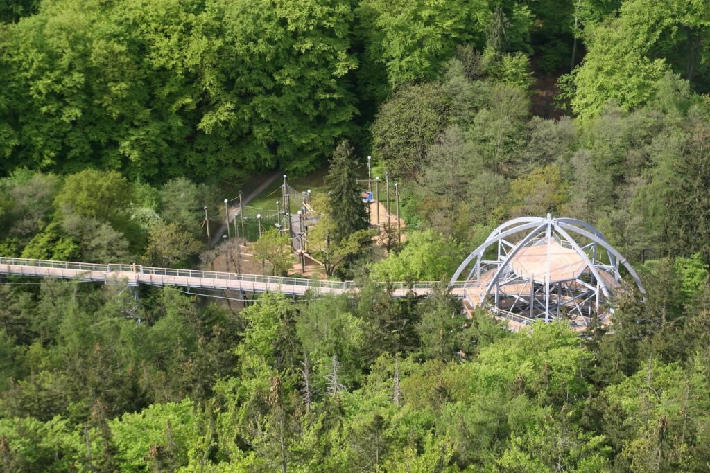 Luftbild der BaumSchwebeBahn mit Gästen über dem Wald schwebend