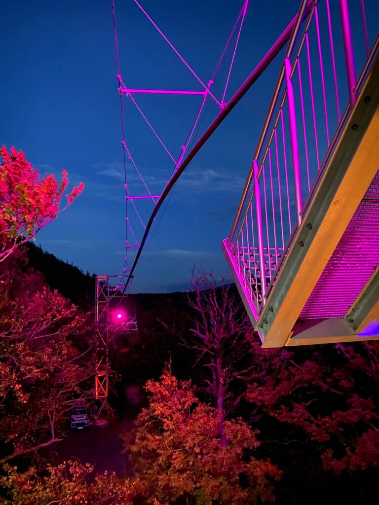 Die BaumSchwebeBahn bei Nacht mit lila Beleuchtung über dem Wald
