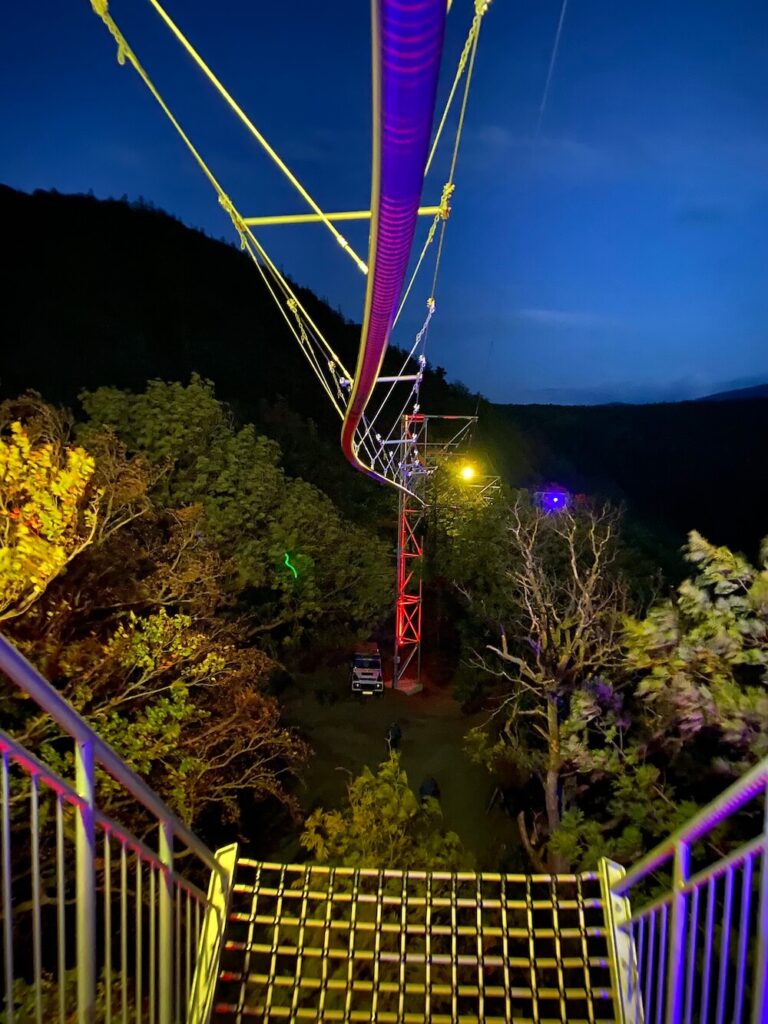 Nächtliche Fahrt mit der BaumSchwebeBahn unter sternenklarem Himmel