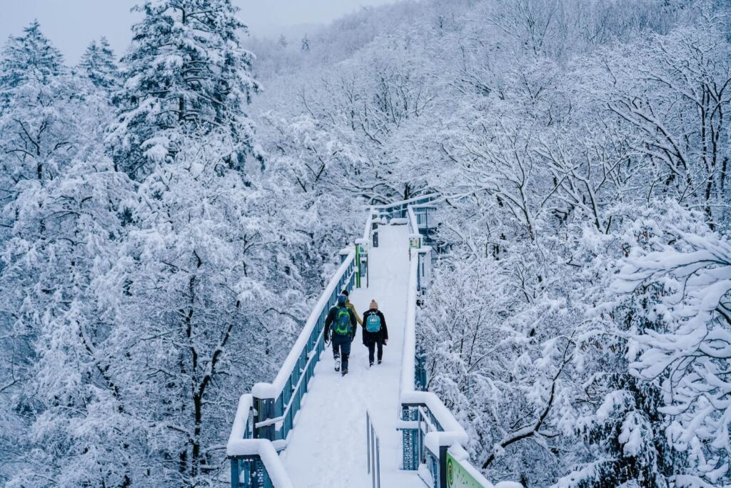 Verschneiter Baumwipfelpfad Harz im Winter
