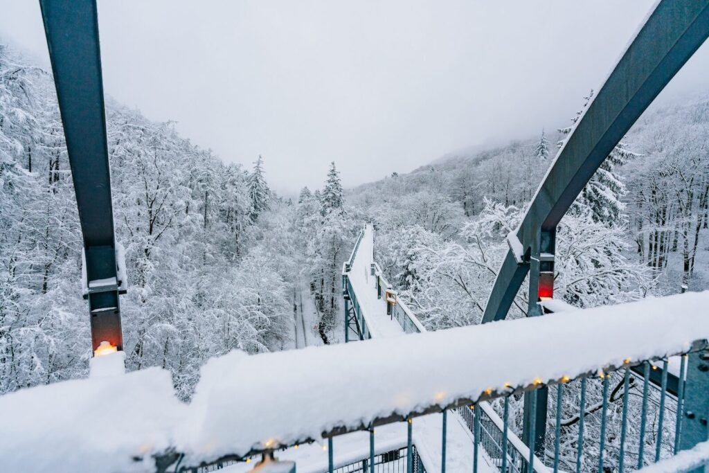 Winterlicher Baumwipfelpfad mit Schnee bedeckt