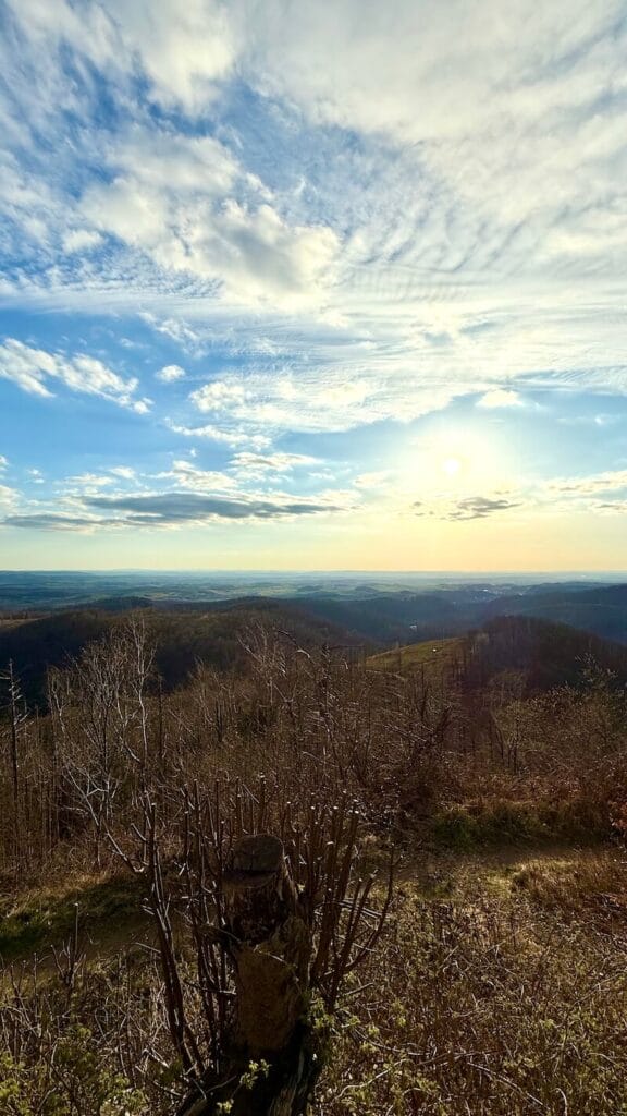 Ravensberg Bad Sachsa 14 Aussicht vom Ravensberg im Licht der untergehenden Sonne