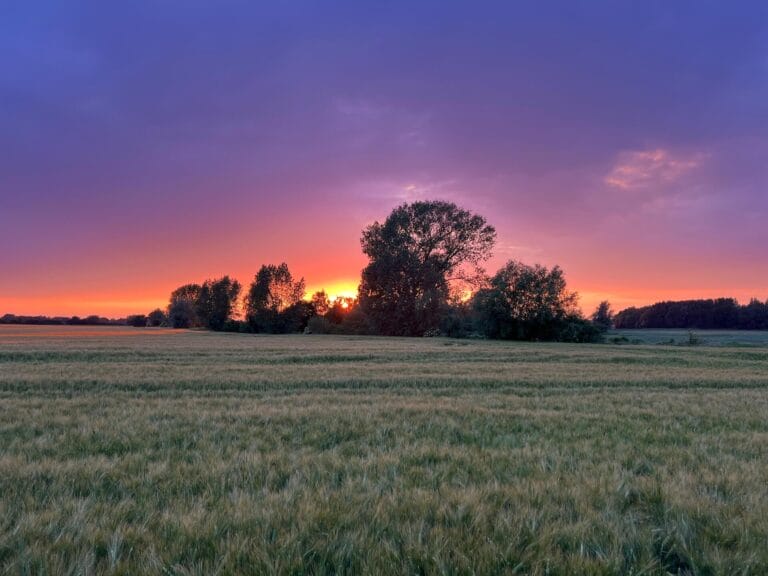Sonnenuntergang am Brook